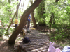 DSC02880JPG