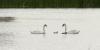 33098172_2032010887038318_355739303470432256_n